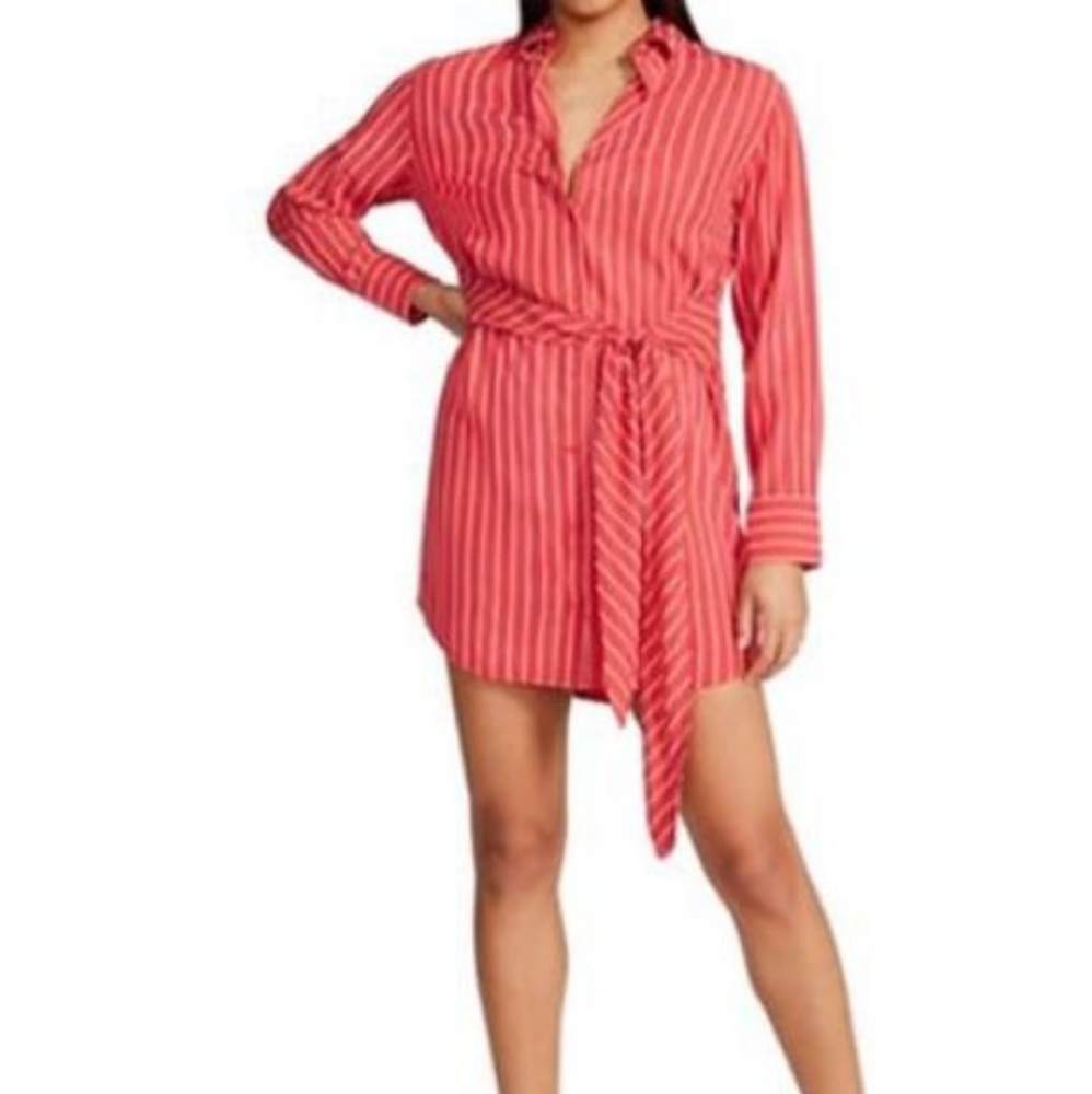 BB Dakota shirt dress